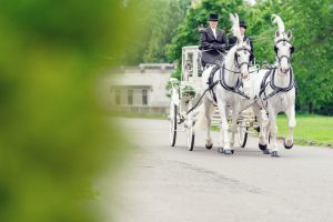 A white horse-drawn carriage with two drivers in formal attire moves along a road, flanked by green trees and grass, with blurred foliage in the foreground.